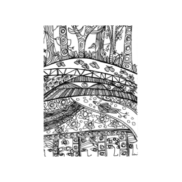 Los pájaros y las ventanas