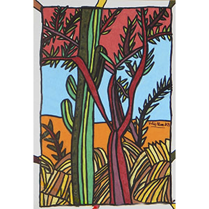 Los árboles de Catamarca